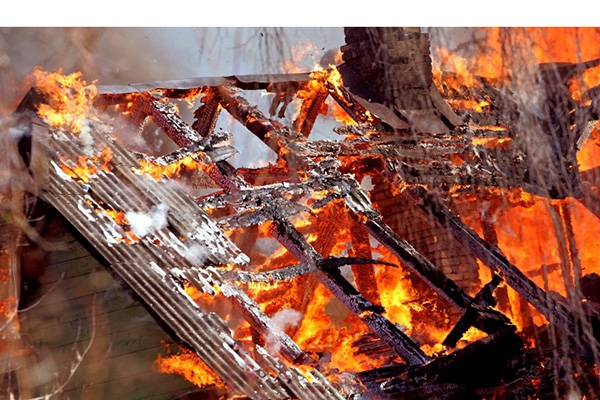 В Резекненском крае в огне погибло 38 телят 