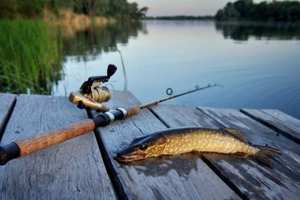 «Рыбаки ловили щуку, а поймали… судака!» Рыбалка на озере Разнас будет более удачной