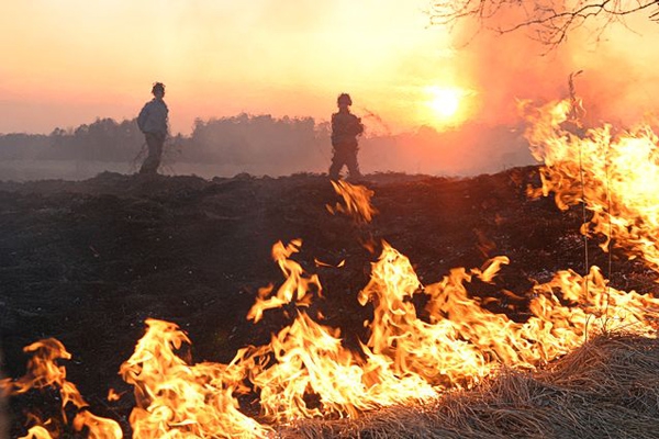 В Латгалии пожарные выезжали на тушение домов и старника  