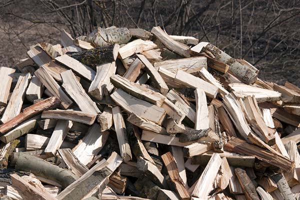 Из-за роста цен на дрова резекненцам придется экономить каждое полено