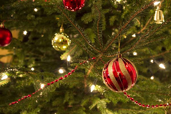 Строим планы на светлые рождественские выходные: 24-28 декабря