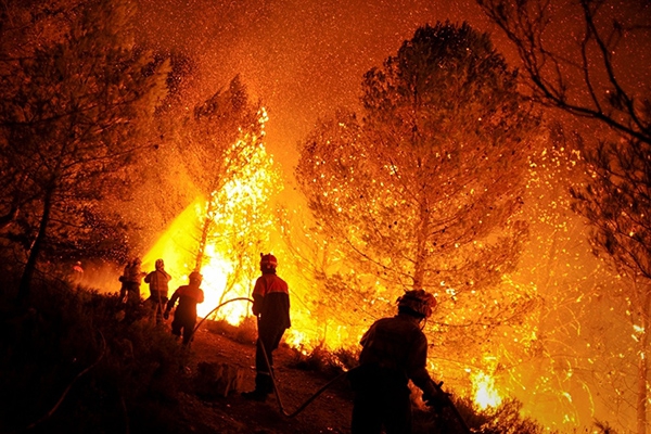 Латгалии угрожают лесные пожары