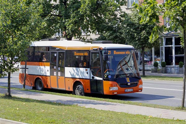 Дополнительные рейсы автобусов после праздничного салюта