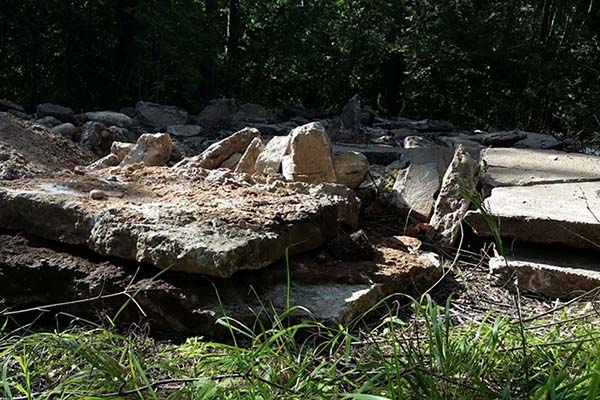Очевидец: Гришканское волостное управление устроило свалку в Спружевском лесу (фото)