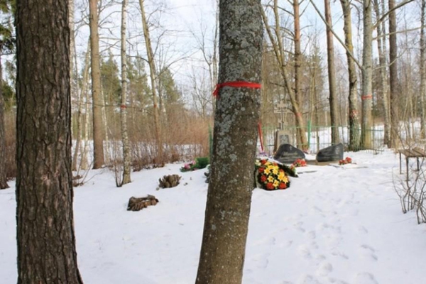 Проходит общественный опрос о вырубке деревьев на кладбище Озолайнской волости